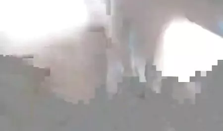 Barna nyúl, meg a nagy dupla pina televerve mellei (bkb15129))