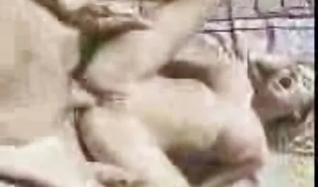 Szuper aranyos tini punci borotvált kitölti a punciját egy piros dildóval.