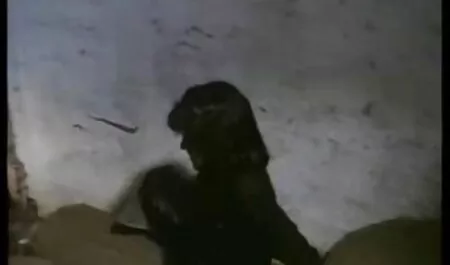 Az amatőr punci borotválása fiatal labda nem szopni, miközben üti, ivás.